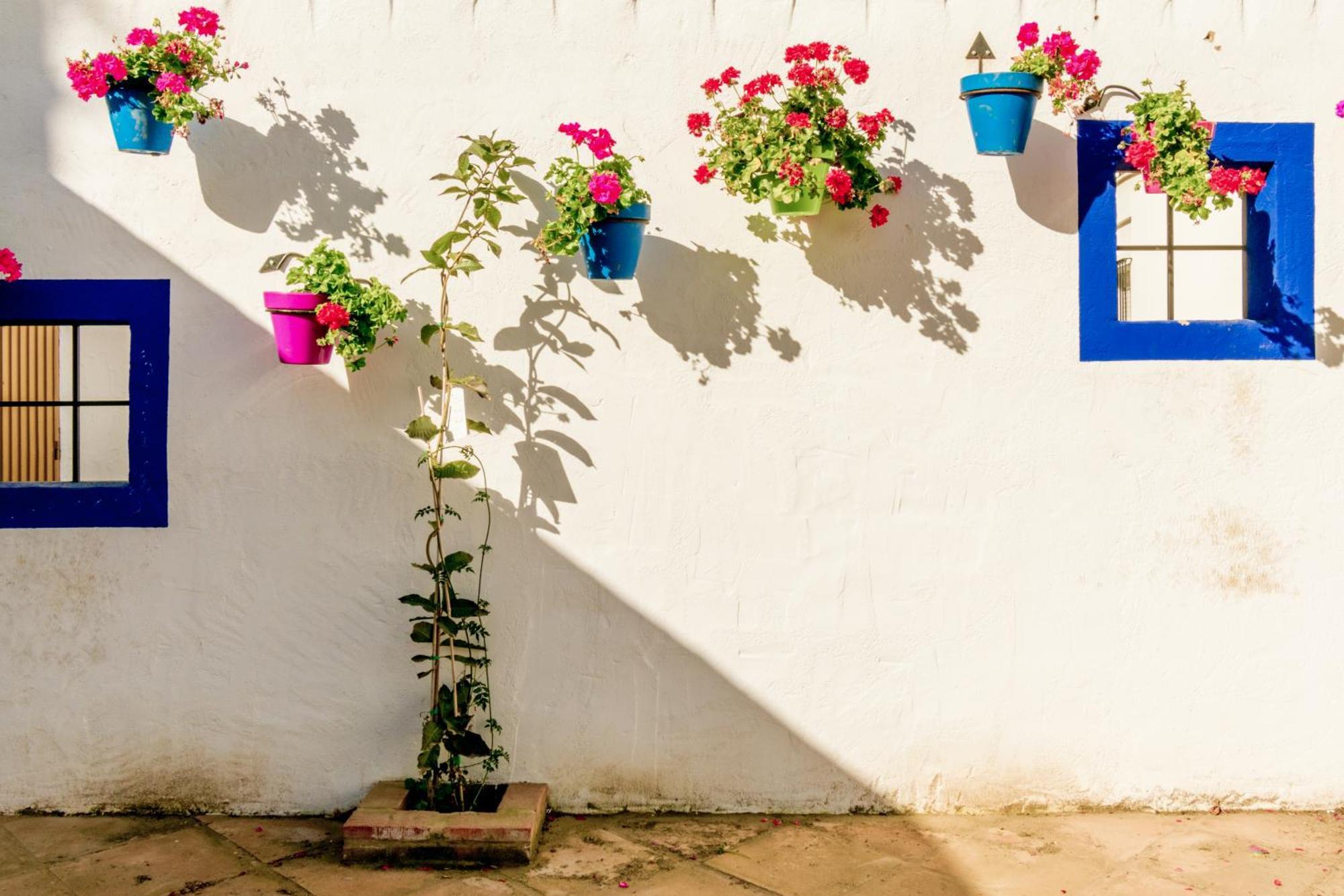 Casa Del Patio - Boutique Apartments (Adults Only) Estepona Kültér fotó