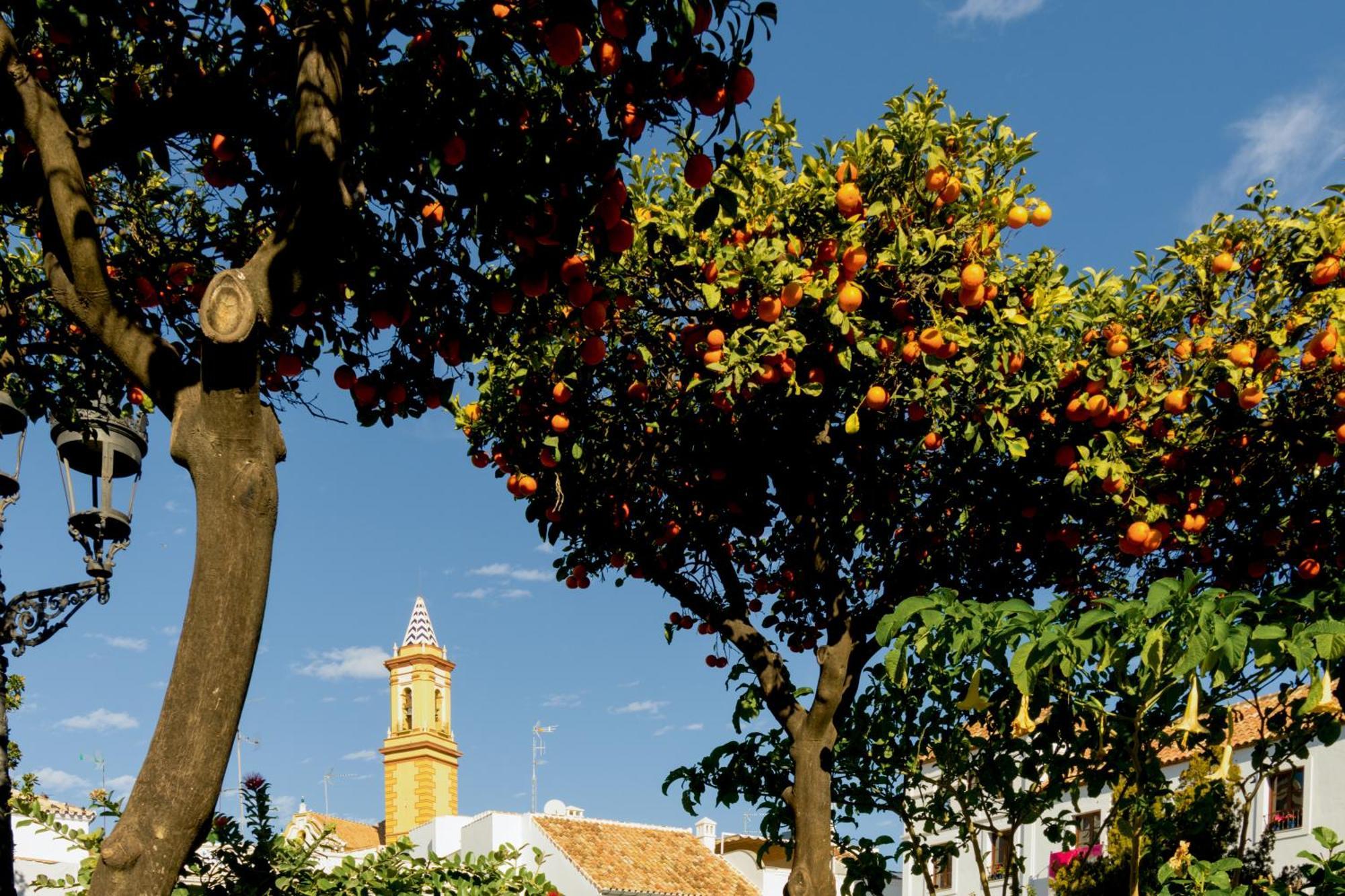 Casa Del Patio - Boutique Apartments (Adults Only) Estepona Kültér fotó